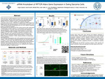 siRNA Knockdown of RPTOR Reduces RPTOR Expression, Increases BRD4 Expression, and Alters Proliferation and Apoptosis in Ewing's Sarcoma Cells