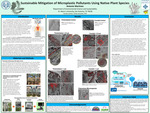 Sustainable Mitigation of Microplastic Pollutants Using Native Plant Species by Antonio Martinez