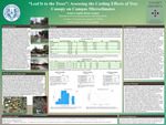 "Leaf it to the Trees": Assessing the Cooling Effects of Tree Canopy on Campus Microclimates by Andrea Sophia Realyvasquez