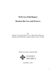 Well Cave Field Report: Bracken Bat Cave and Preserve by Anthony J. Coronado, Byron T. Cox, Allison De La Houssaye, Fernando Jaime Sepulveda, Anthony Sadler, Aaron S. Yamazi, and St. Mary's University