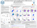 CD36 deletion hampers T-bet B cell-differentiation in R848 immunized mice and HFD models