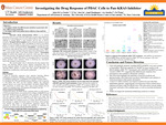 Investigating the drug response of PDAC cells to Pan-KRAS inhibitor by Jalyn De La Fuente, Yi Xu, Jun Liu, Angel Dominquez, Ava Sanchez, and Pei Wang
