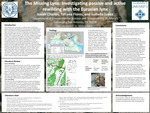The Missing Lynx: Ivestigating passive and active rewilding with the Eurasian lynx