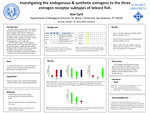 Investigating the endogenous & synthetic estrogens to the three estrogen receptor subtypes of teleost fish
