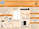Polylactic Acid (PLA) Microplastic toxicity in C. elegans