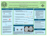 Investigating RAD14 Gene Nucleotide Excision Repair on G-Quadruplexes by Juan Pablo Olvera Rodriguez, Tyna Trevino, Yvette Gonzalez, and Georgia Romike