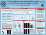 Muscular Degeneration in Caenorhabditis elegans by Microplastic and Chemical Exposure through locomotion analysis by Juan Pablo Olvera Rodriguez, Angelica Cue-Leon, and David Mares