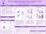 Analyzing the Effect of Melatonin on B Cells' Expression of CD36 by Caitlyn Pinaga, Gabriella Galdeano, Nayi Gonzalez, and Emma Welsch