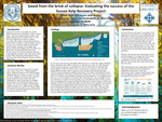 Saved from the brink of collapse: Evaluating the success of the Sussex Kelp Recovery Project by Keagan Farrell, Kelly Swyers, and Adan Vasquez