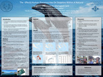 The Effects Human Presence has on Dolphins within a Natural Lagoon Enclosure in Managed Care by Mario Martinez and Winter Saldaña