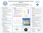 Enhancing Financial Audit Operations through AI Anomaly Detection