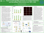 Impact of Ashwagandha Treatment on Cytokine Production and Macrophage Differentiation into THP-1 Cells