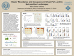 Raptor Abundance and Occupancy in Urban Parks within Metropolitan Landscapes