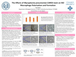 The Effects of Mycoplasma pneumoniae CARDS toxin on M2 Macrophage Polarization and Formation
